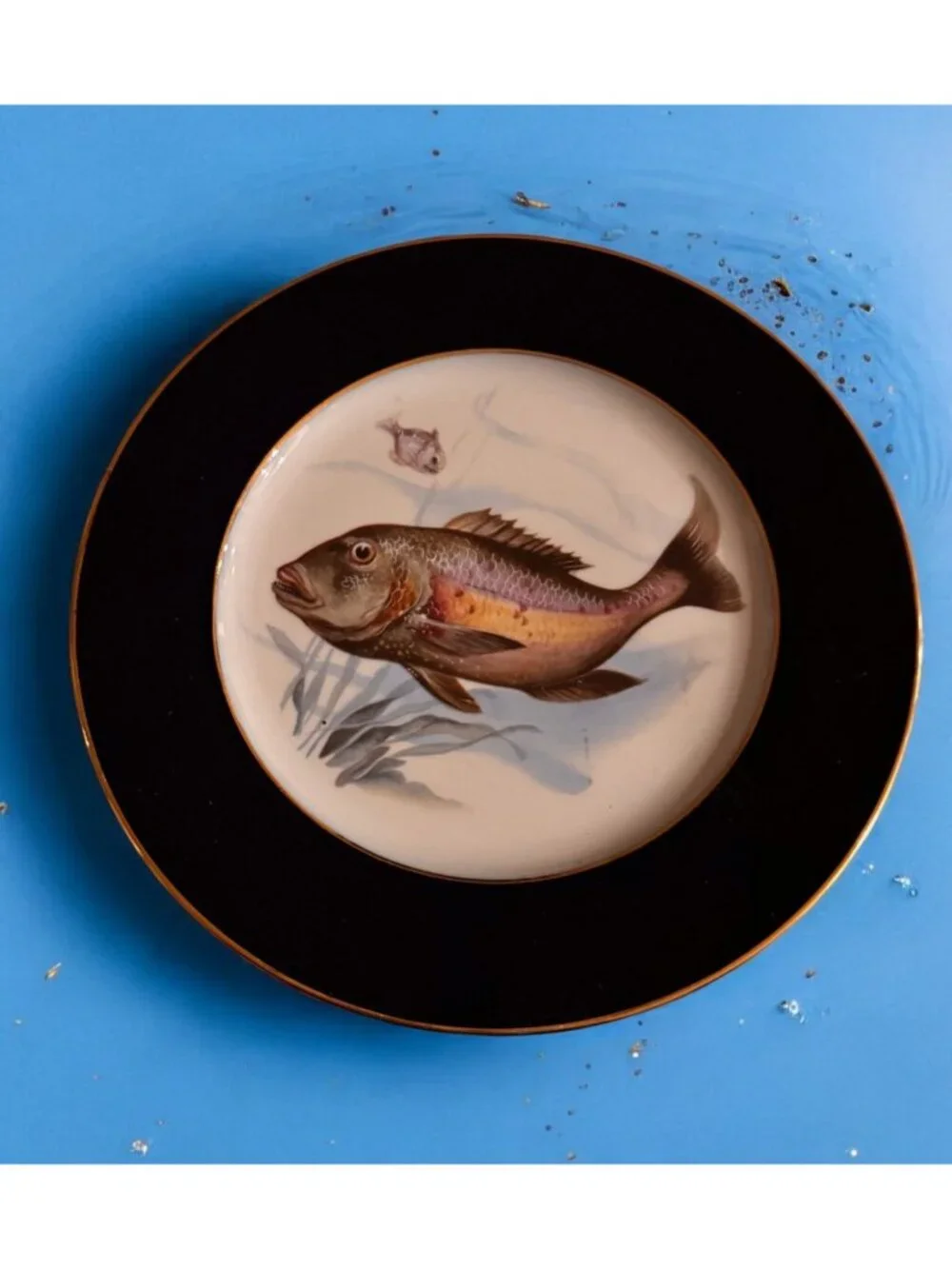 Set x 5 Vintage JWK Bavaria 10” Dinner Plates Fish Cobalt Gold Trim W. Germany